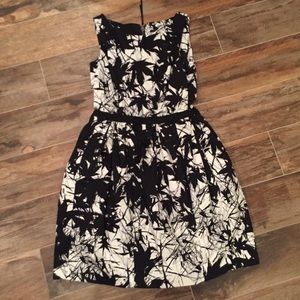 Taylor Black and White Spring Dress Modcloth